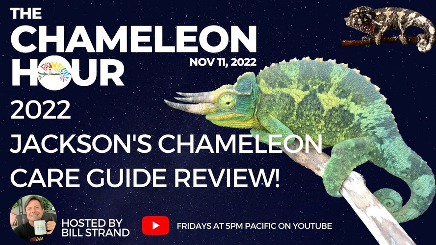 2022 Jackson's Chameleon Care Guide