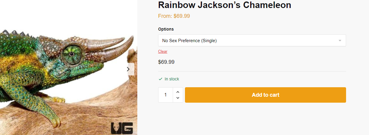 FireShot Capture 006 - Rainbow Jacksons Chameleons (Jacksonii jacksonii) for sale - Undergro_ ...png