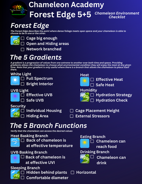 Chameleon Academy Forest Edge Checklist online.png
