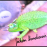 Jackson chameleonair