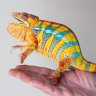 Chromatic Chameleons