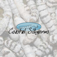 Coastal Silkworms