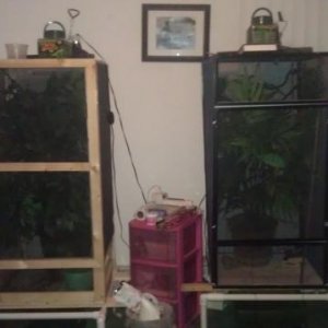 Calliope's new cage on the left and Leviathan's on the right.
10/12/11