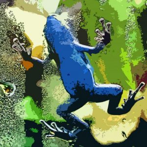 Misted Blue Frog