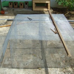 Cage Setup 001