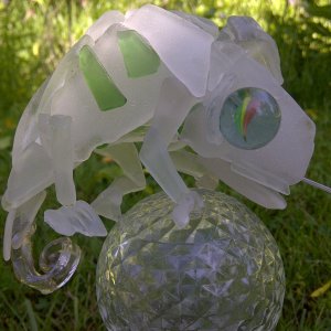 Glass Chameleon