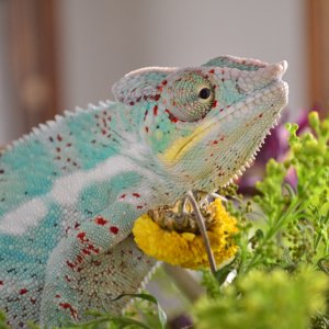 Smelling The Flowers