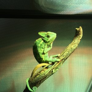 Basking? You are doing it right!