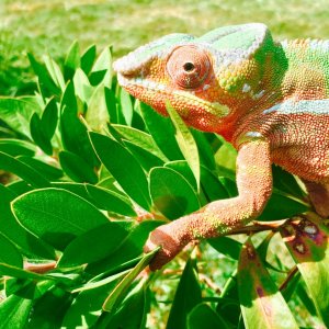 Jukka enjoying the sun