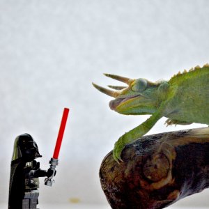 chameleon vs darth vader