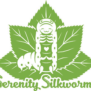 serenity silkworms.jpg