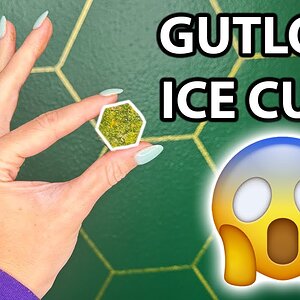 How to make gutload ice cubes for your pet reptile