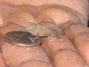 A tiny miracle!
