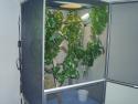 Panther Enclosure