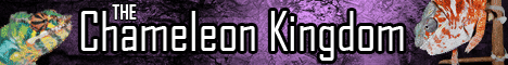 Chameleon Kingdom