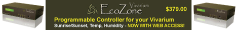 EcoZone Vivarium