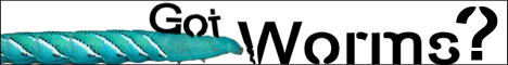 Great Lakes Hornworm