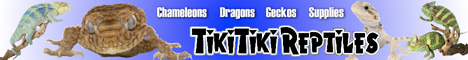 Tiki Tiki Reptiles
