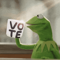 Voting Election 2020 GIF by #GoVote