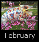 february.jpg