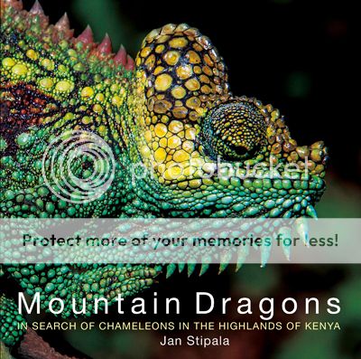 01_MountainDragons_cover_website_sRGB_lowerres.jpg