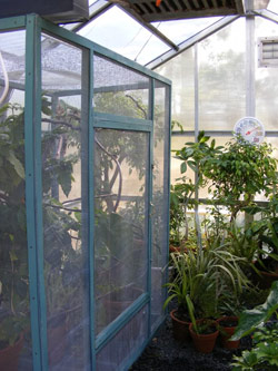 Chameleon Greenhouse