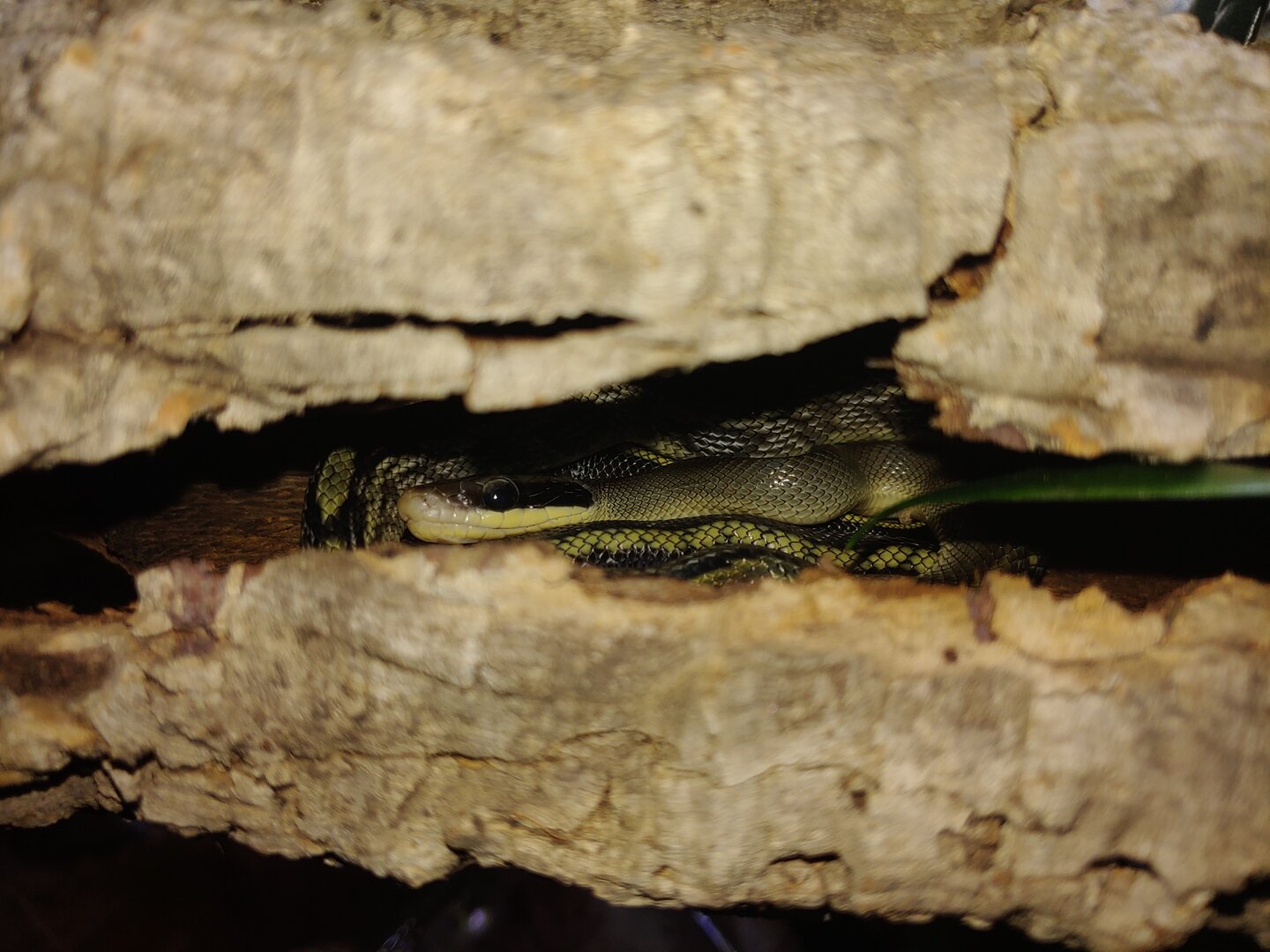 0103221654e.jpg