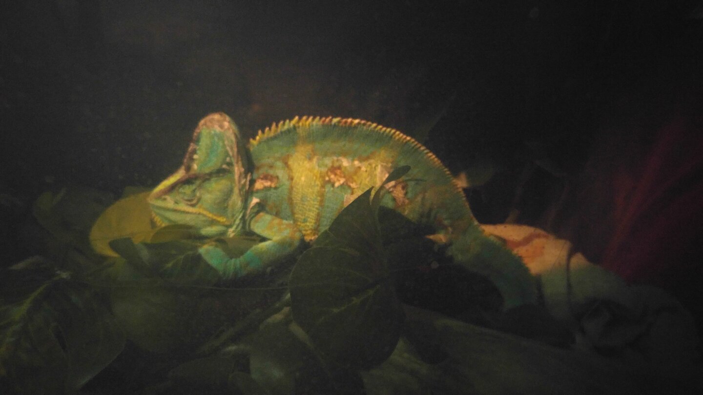 0130202306b.jpg