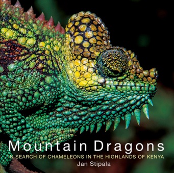 01_Mountain Dragons_cover_website_sRGB_lower res.jpg