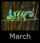 03march.jpg