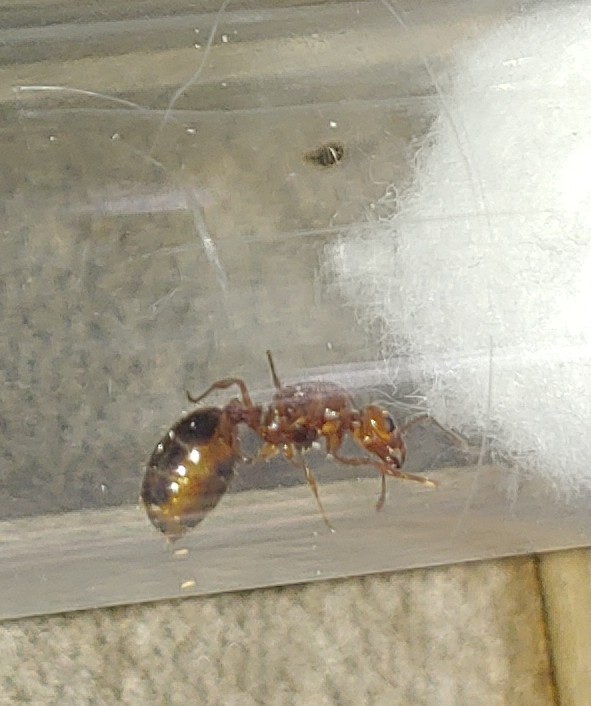 0409201335c~2.jpg