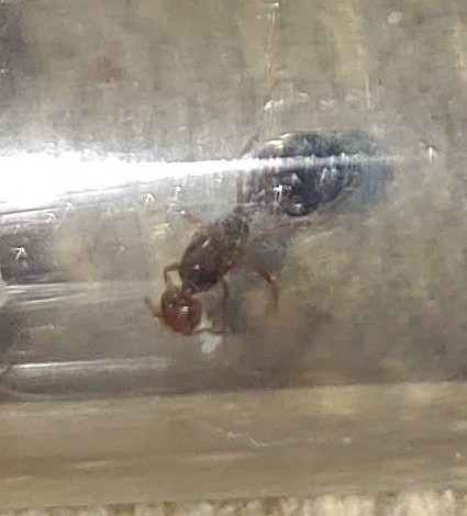 0410201241n~2.jpg