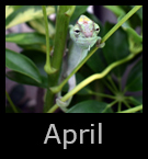 04april.jpg
