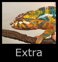 05extra1.jpg