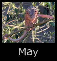 05may.jpg