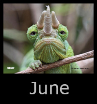 06june.jpg