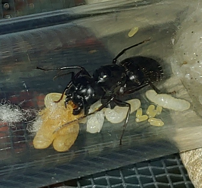 0708211316e~2.jpg