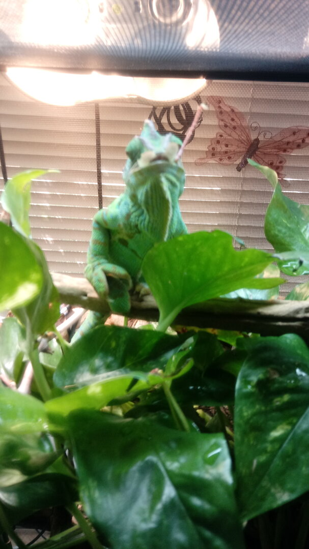 0724200930b.jpg