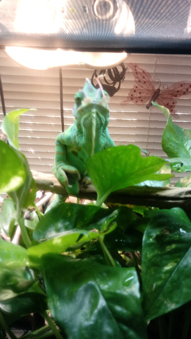 0724200930f.jpg
