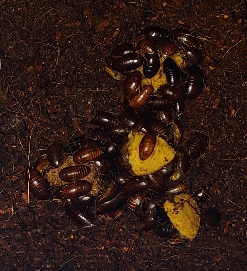 0726211623~2.jpg