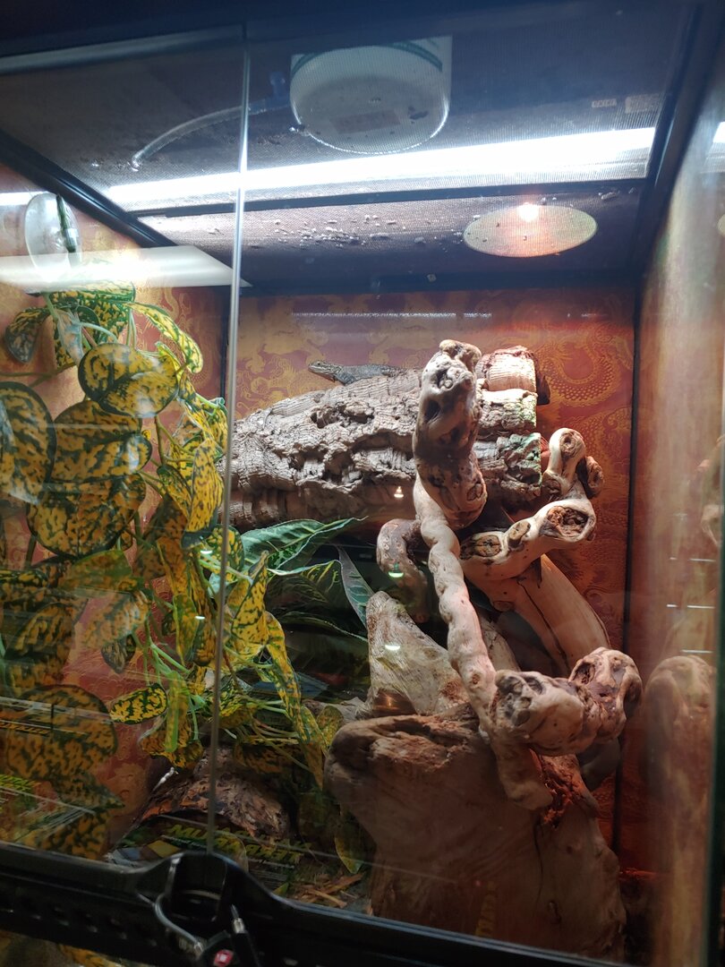 0803211339.jpg