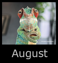08august.jpg