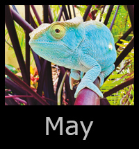 08may.jpg