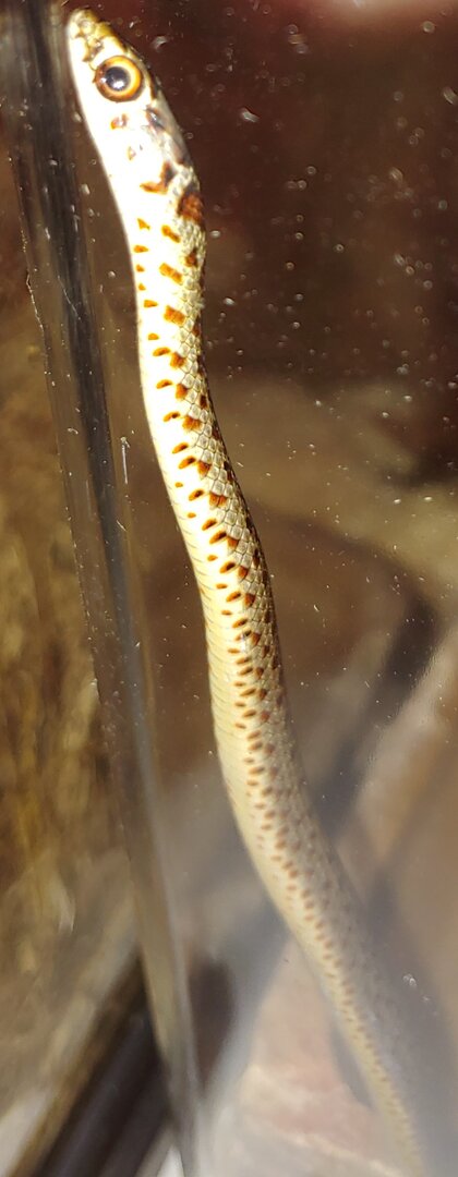 0901210926a~2.jpg