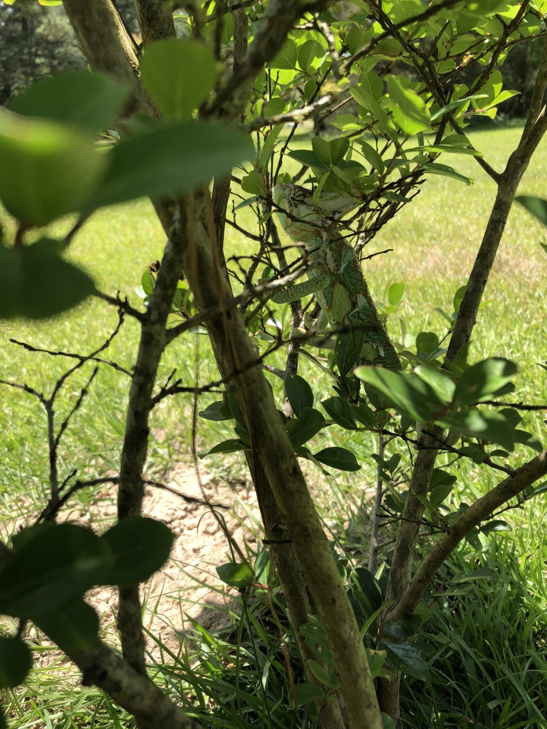 09629BA9-2674-4D0A-ABEE-A99AD89ED928.jpeg