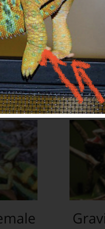 0CA5D58C-9F76-473C-969E-B31F3587B565.jpeg