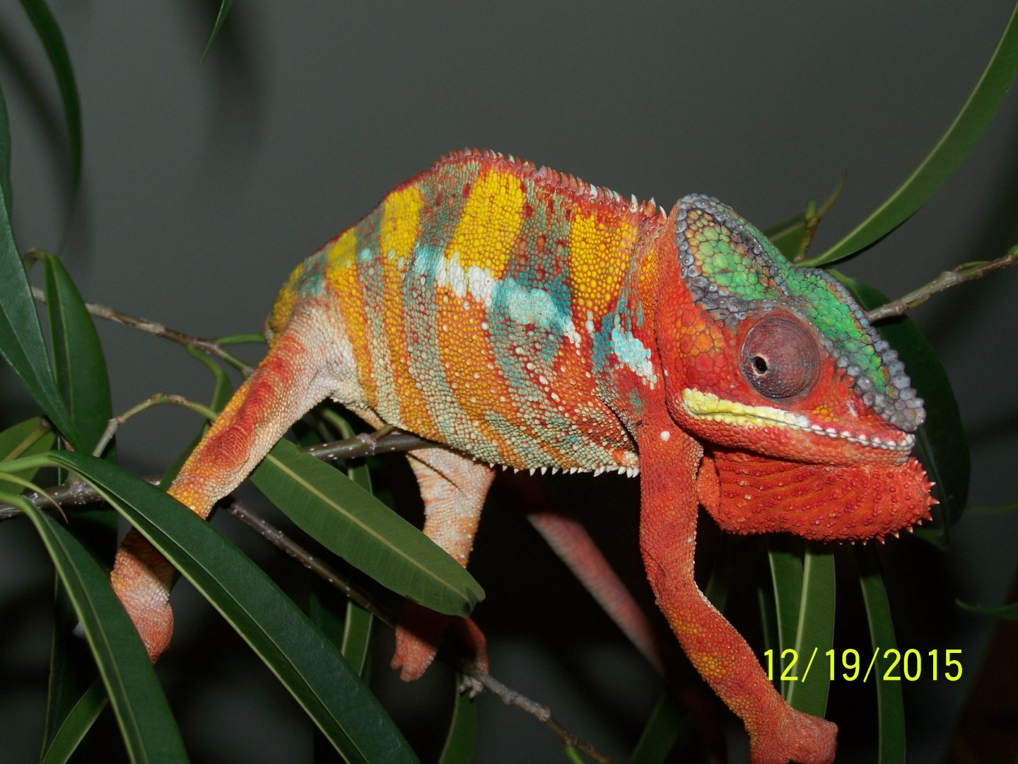 100_7133.JPG