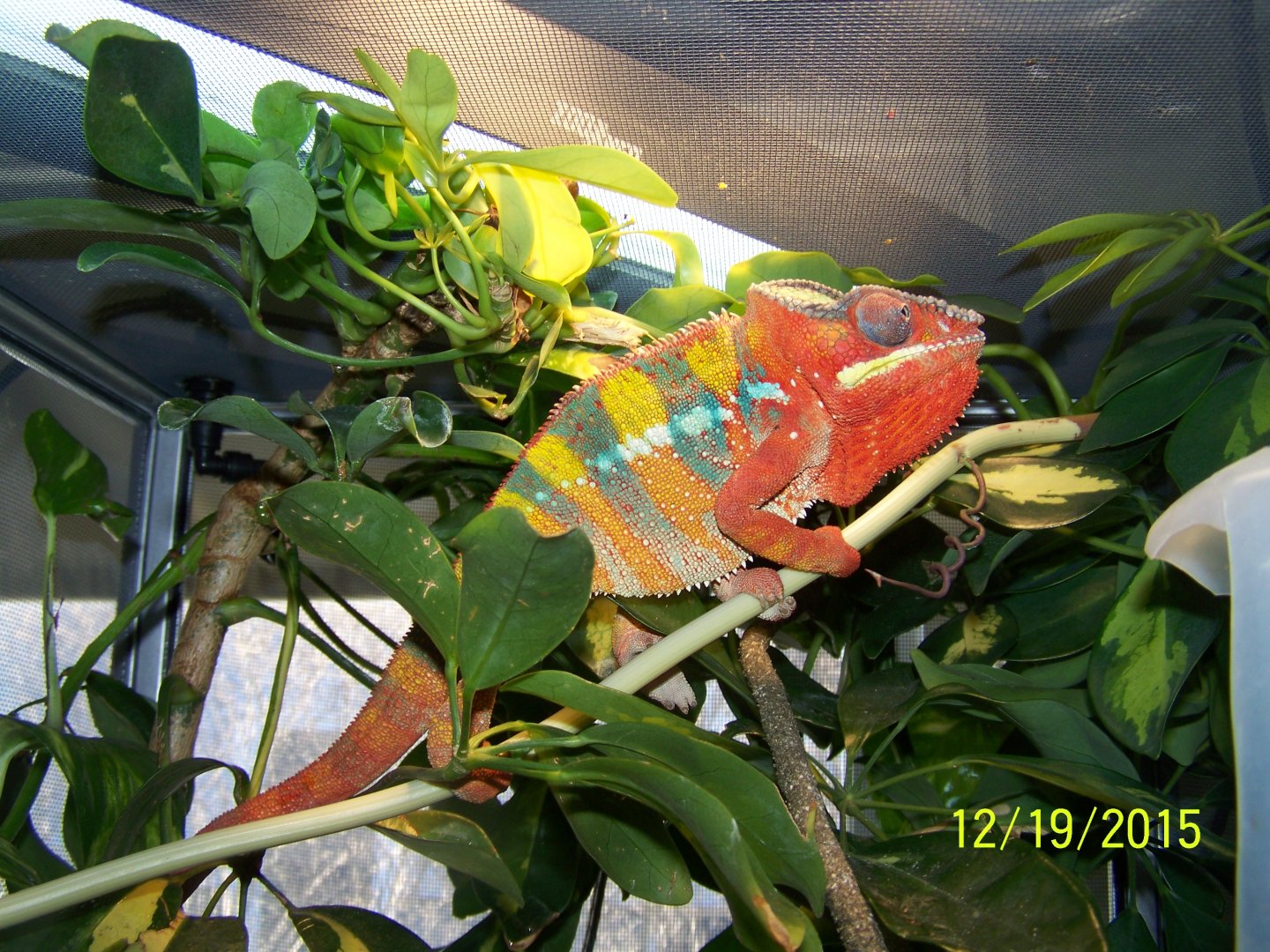 100_7135.JPG