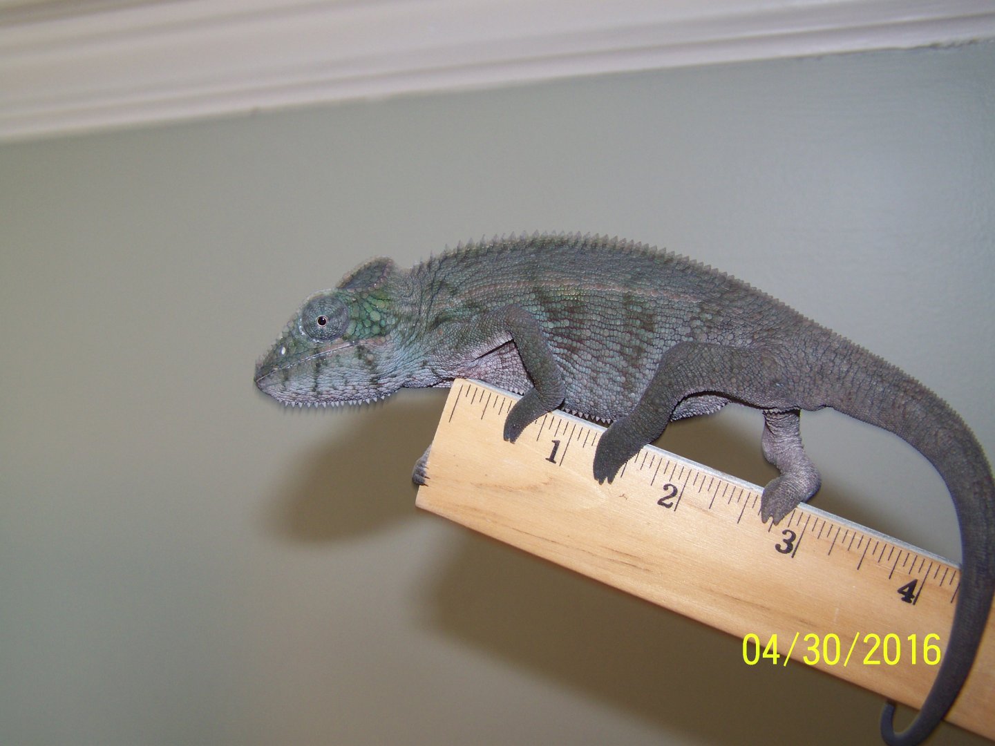 100_7384.JPG