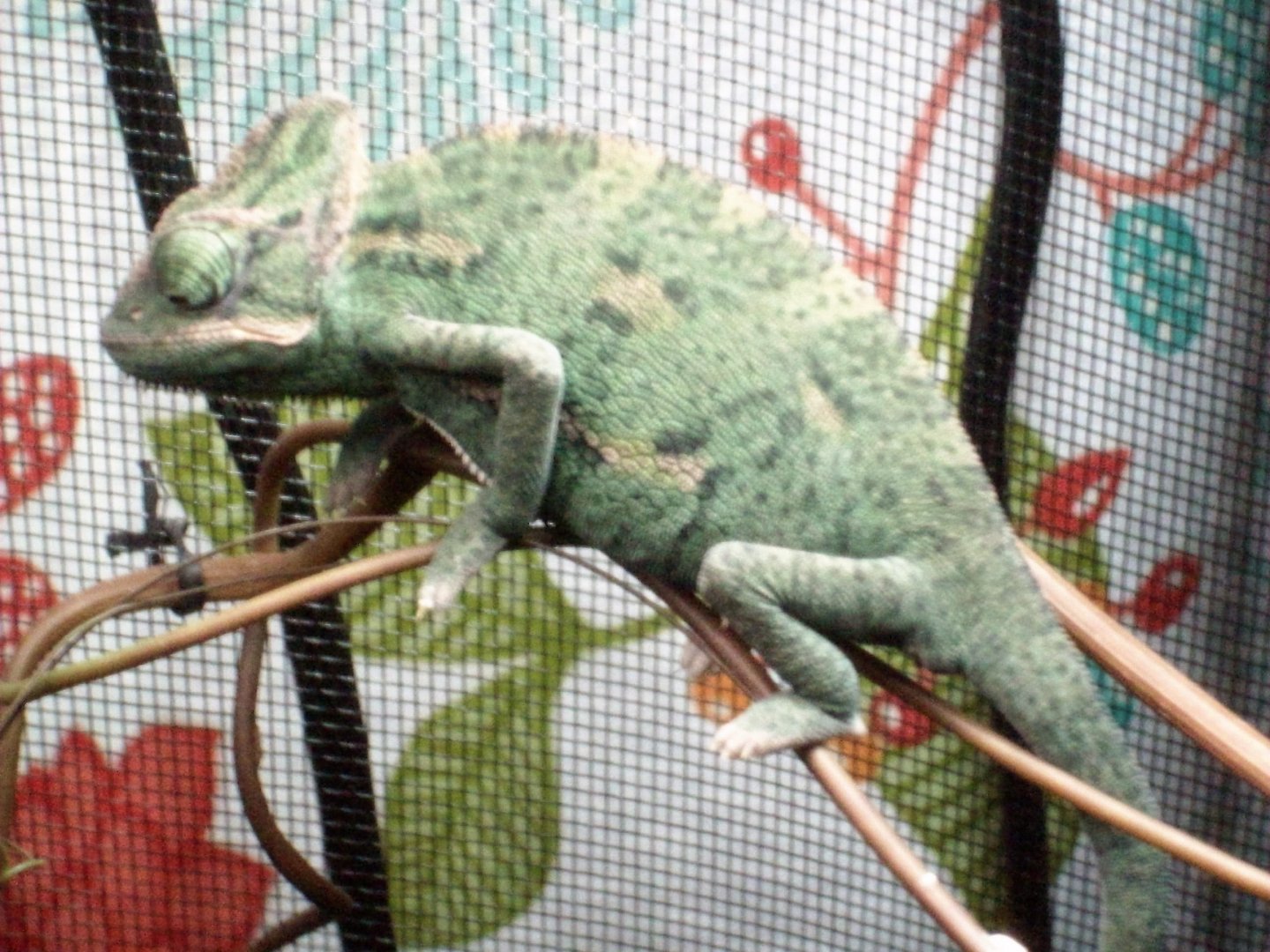 101_6103.JPG